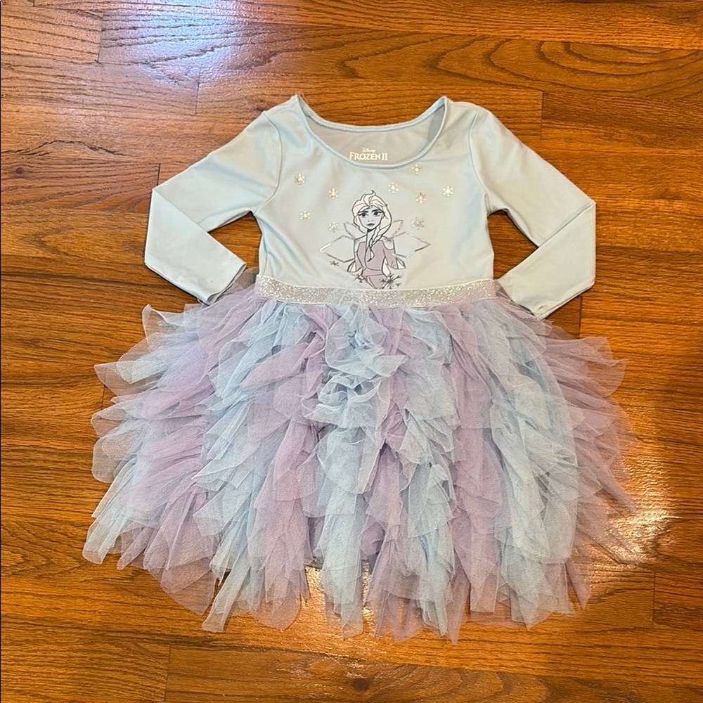 Elsa Disney Blue and Purple dress with Tulle Layers